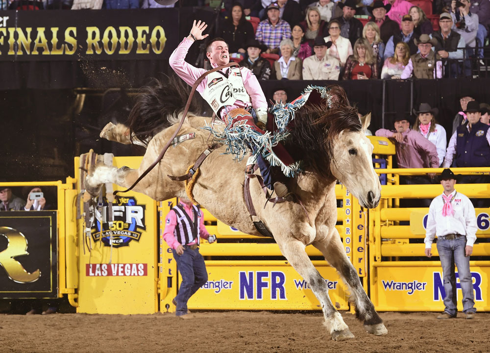 Tim O’Connell wearing a pink shirt and white vest, riding a tan bareback bronc horse at the NFR in front of yellow bucking chutes.